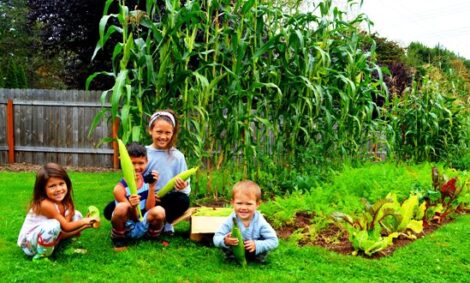 Grow Food Not Grass Image